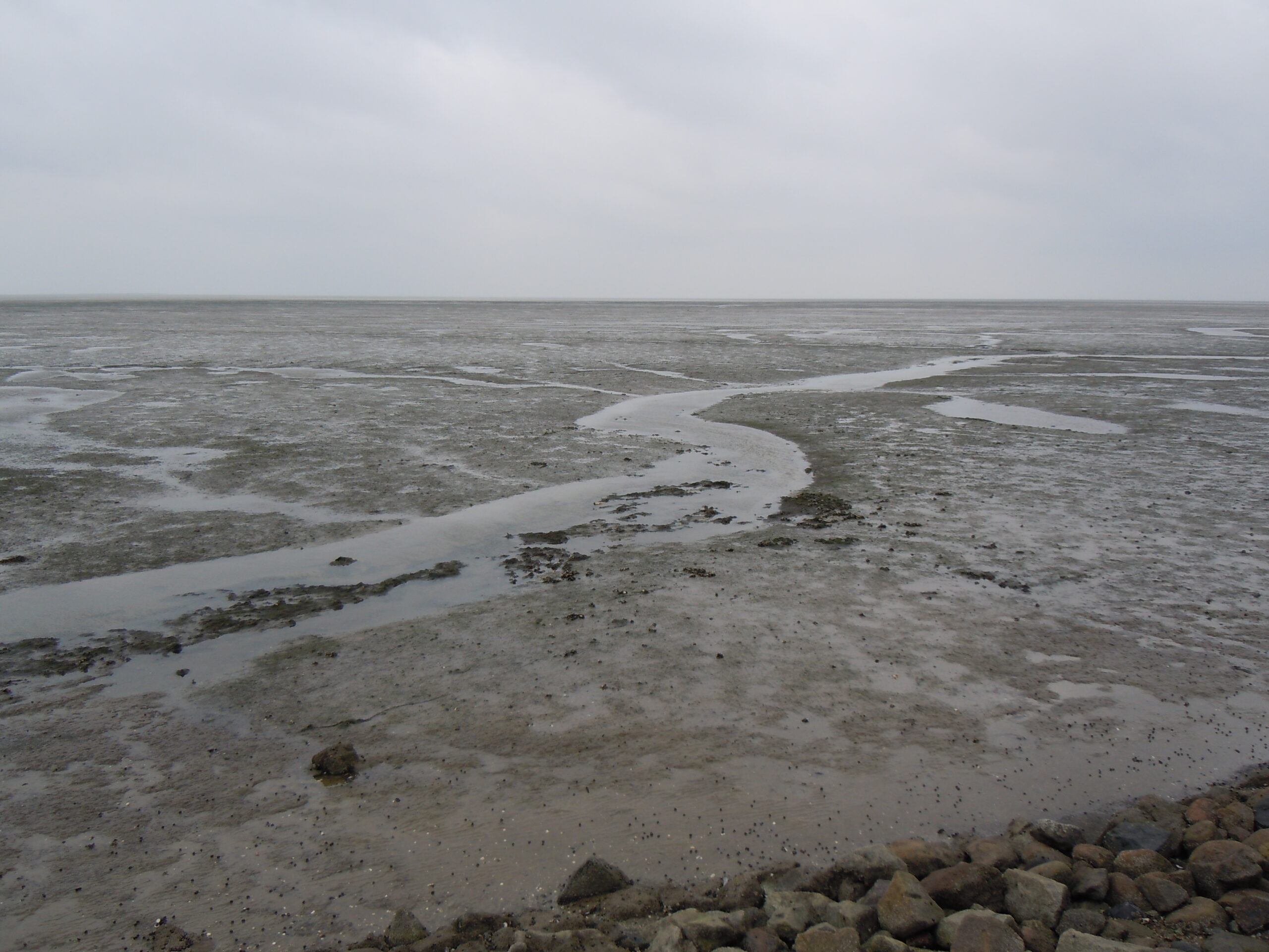 Priel im Wattenmeer bei Hallig Hooge